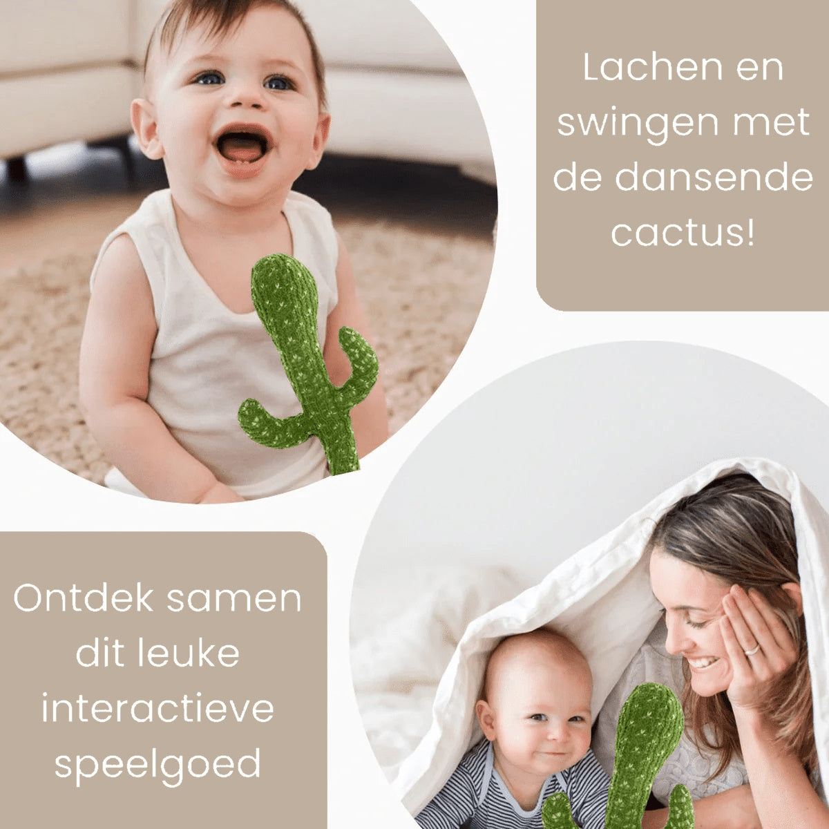 Juan Cactus™ | Reageert op geluid | De pratende cactus