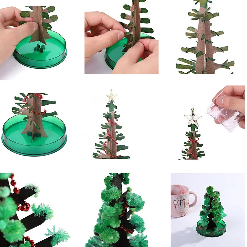 GrowTreeMC | Faites pousser votre propre sapin de Noël ! | Kit de culture d’arbres de Noël | 2+1 GRATUIT