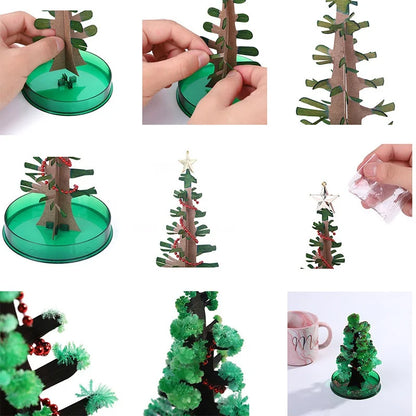 GrowTreeMC | Faites pousser votre propre sapin de Noël ! | Kit de culture d’arbres de Noël | 2+1 GRATUIT
