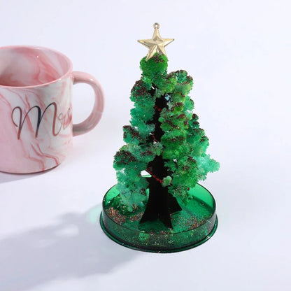 GrowTreeMC | Faites pousser votre propre sapin de Noël ! | Kit de culture d’arbres de Noël | 2+1 GRATUIT