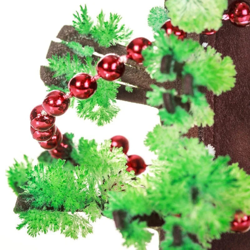 GrowTreeMC | Faites pousser votre propre sapin de Noël ! | Kit de culture d’arbres de Noël | 2+1 GRATUIT